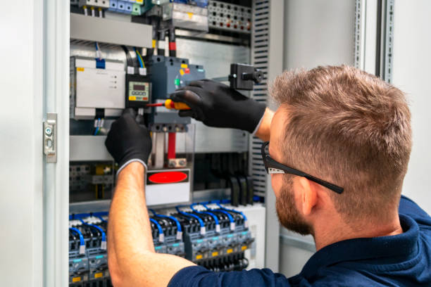 Best Electric Panel Repair  in Lake Village, AR
